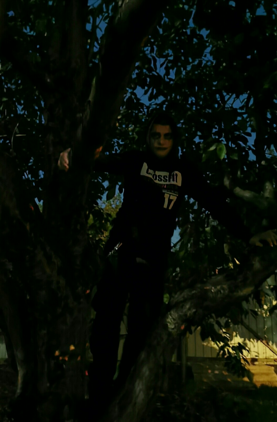 ������� �������� ����������