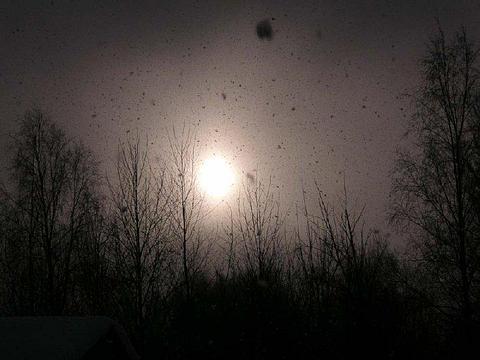 ������ ����������