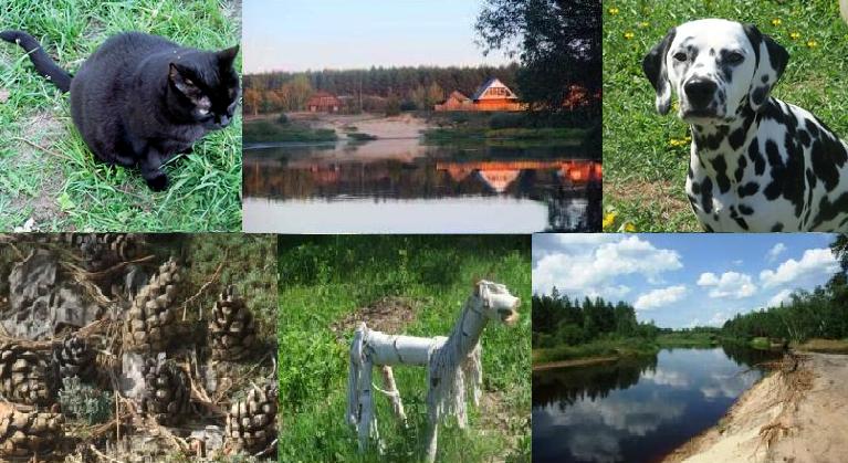 Надежда Мещера