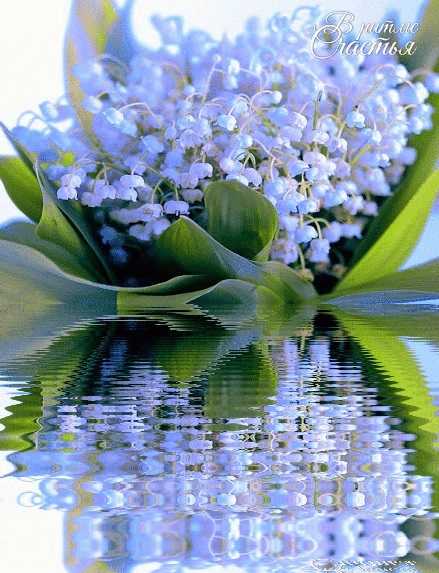 ������� ��������-�����