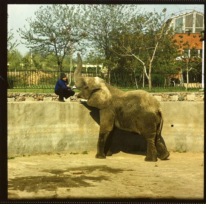 ��������� ������������ ������