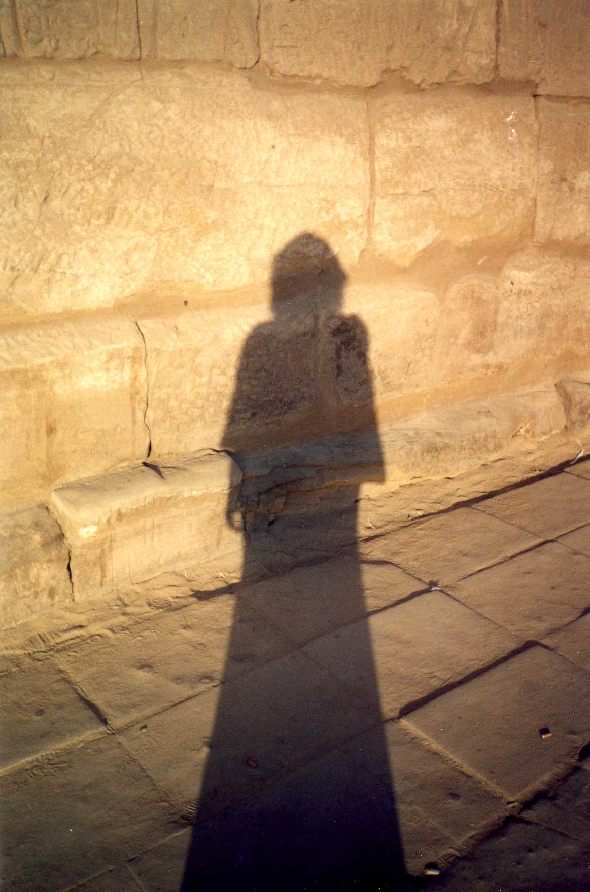 ����� ����������