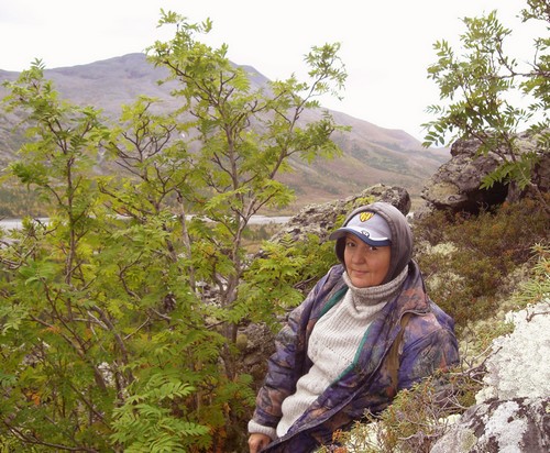 ���� ����������