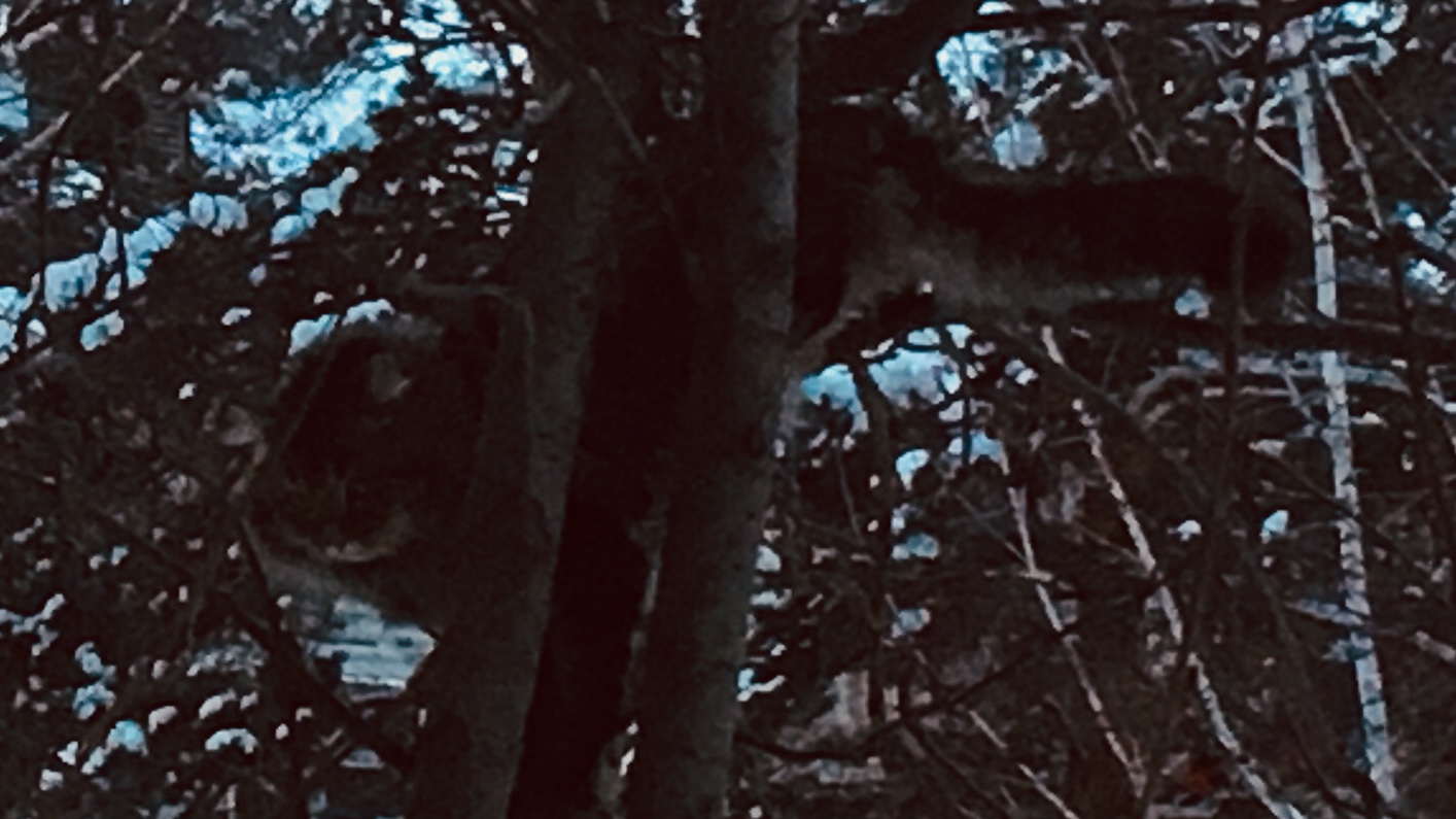 Владимир Смородинов