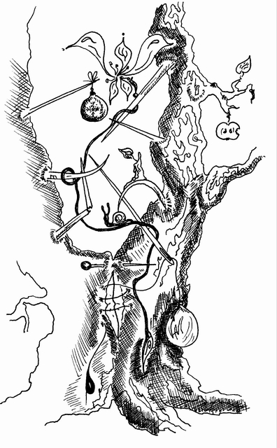 ������-������ ������