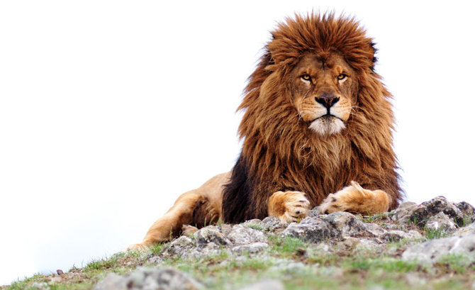 ���� ��������