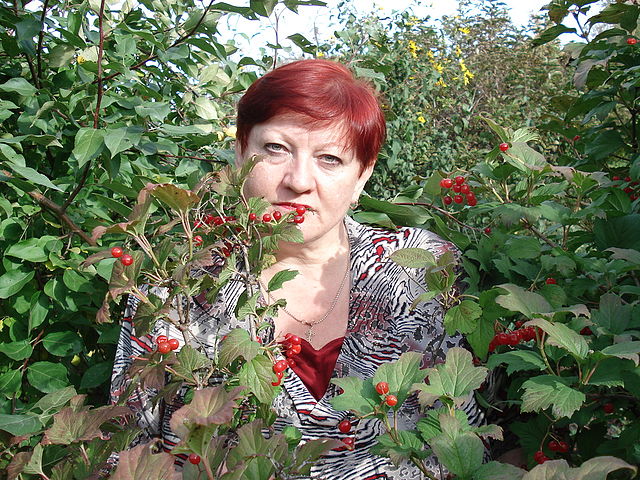 ������� ��������