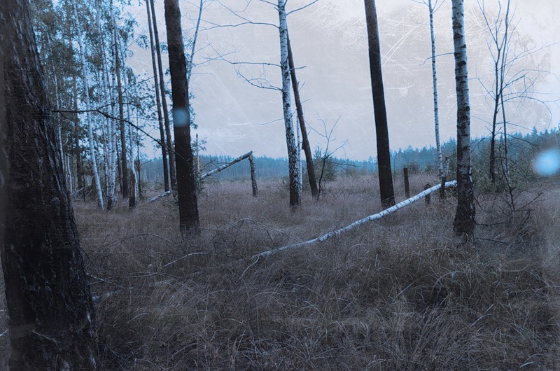 Грэм Гринхорн