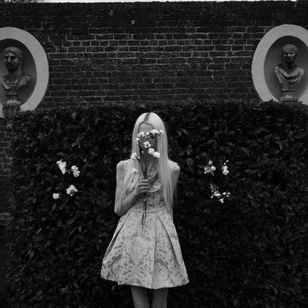 ���� ����������