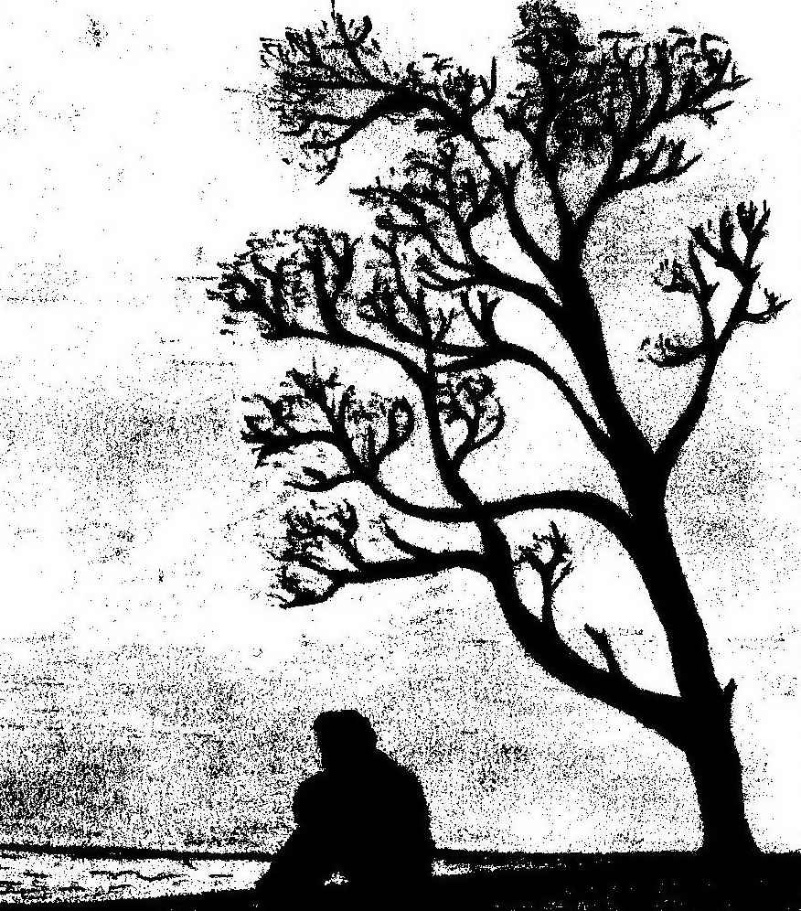 Диана Солнце