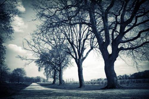 ���� ��������