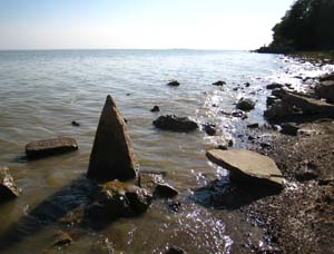 ���� ������