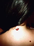 ���� ������