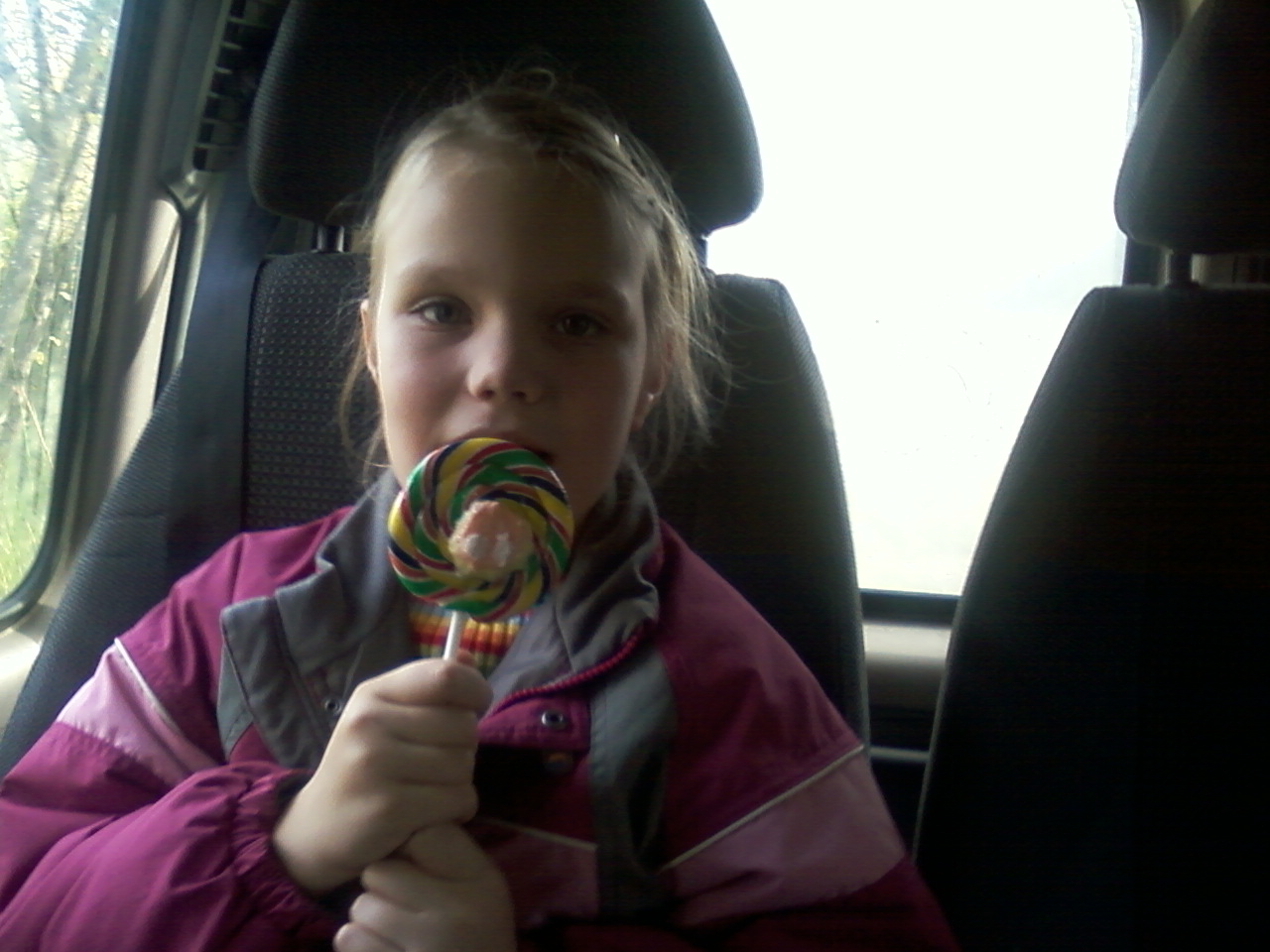 ���� ��������