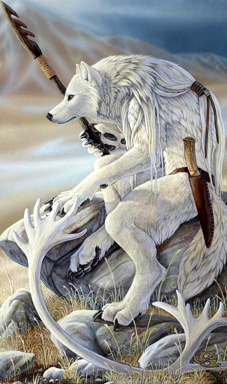 ���� �����������