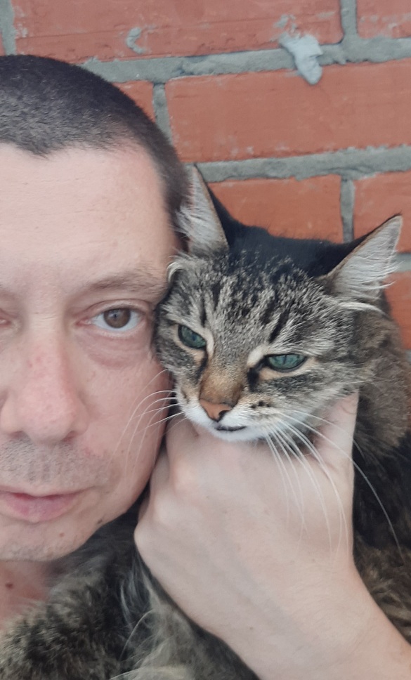 ������ ����