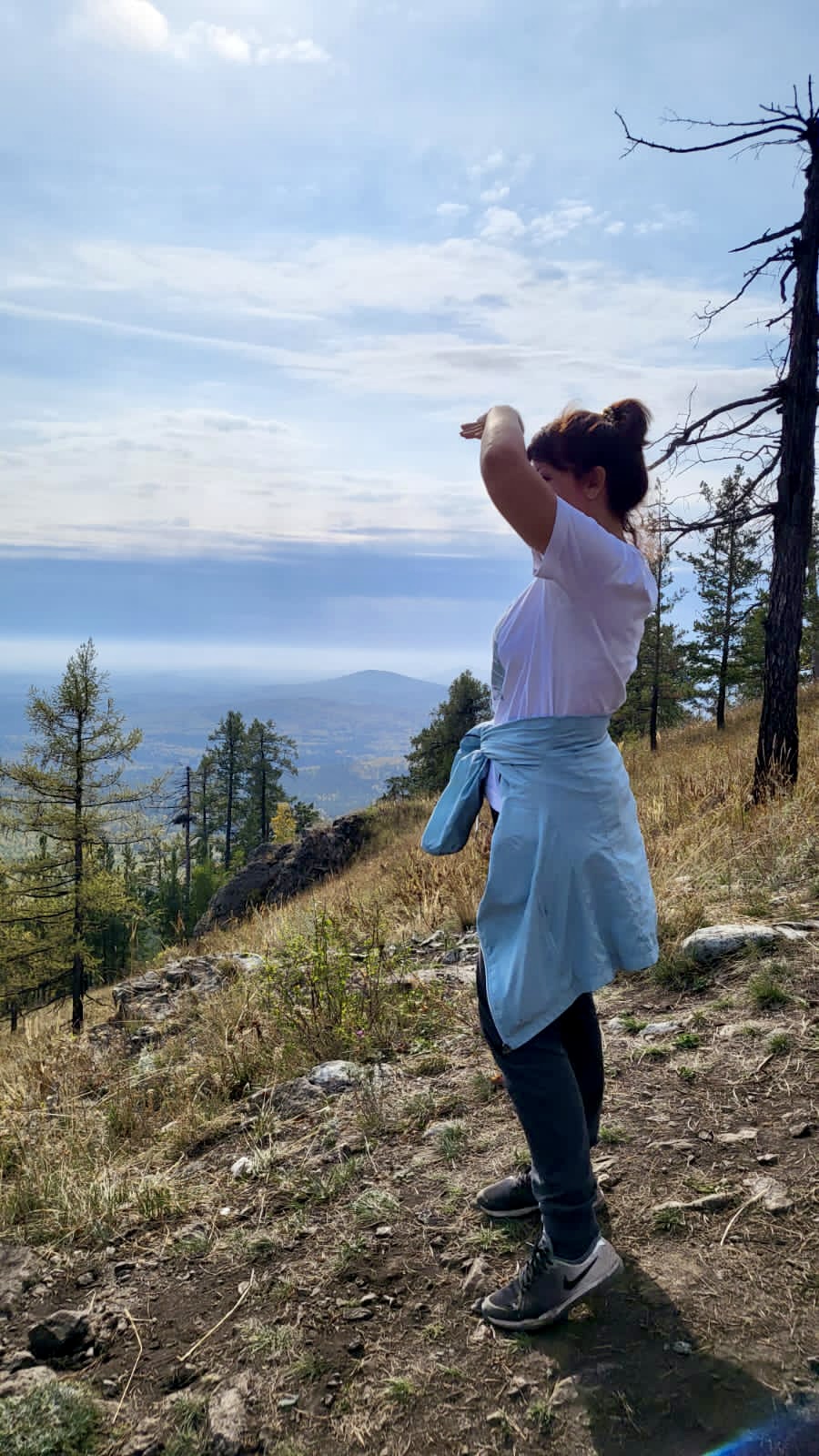 �������� ����