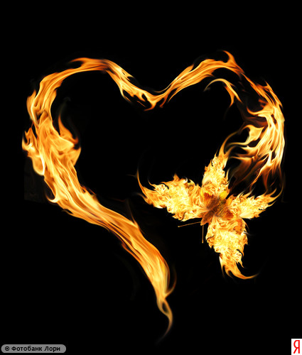 ����� �������