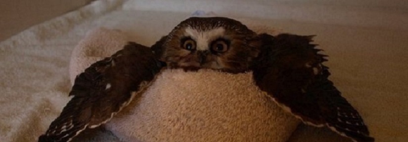 ���� ������������