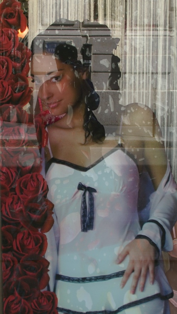 �����������