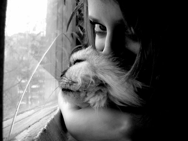 ����������������