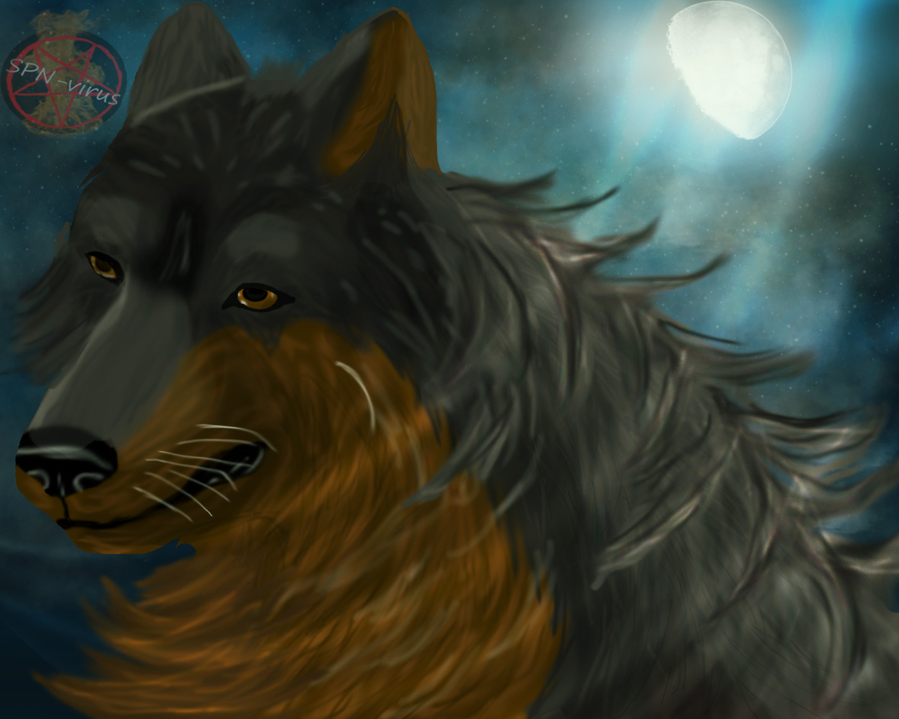 ���-�����