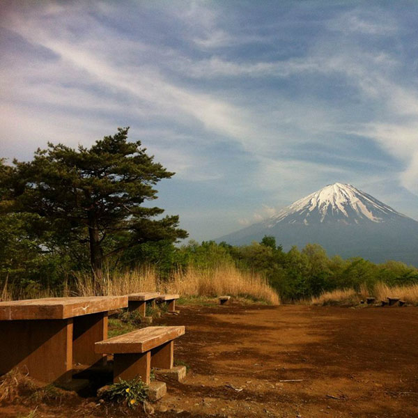 ����� �����