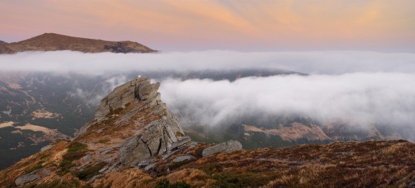 ������� ��������