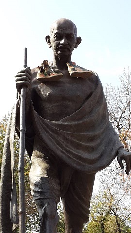 ������� �����������