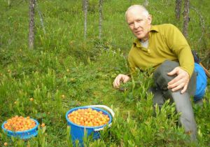 ������ ������� 6