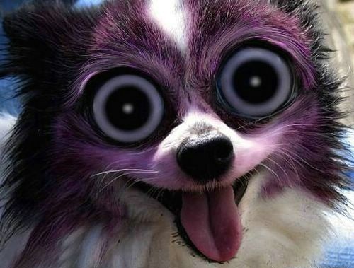 ������ ����