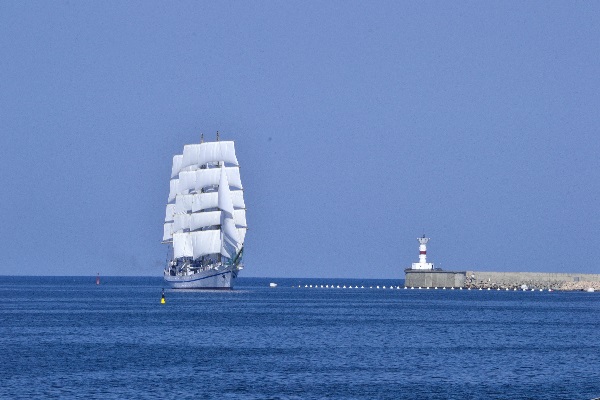 Владимир Полуничев