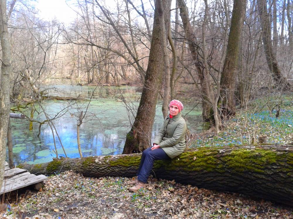 ������ ���������