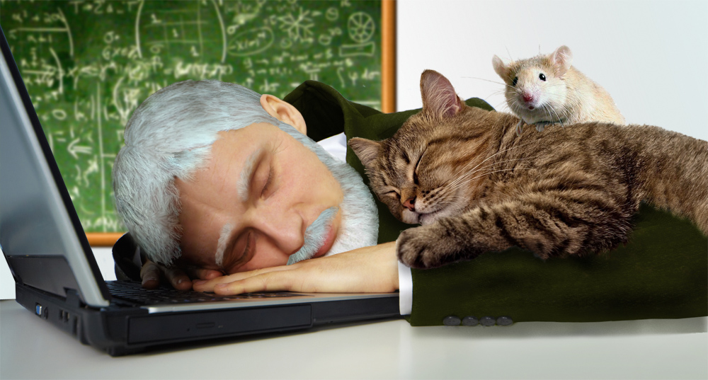 ���� ������