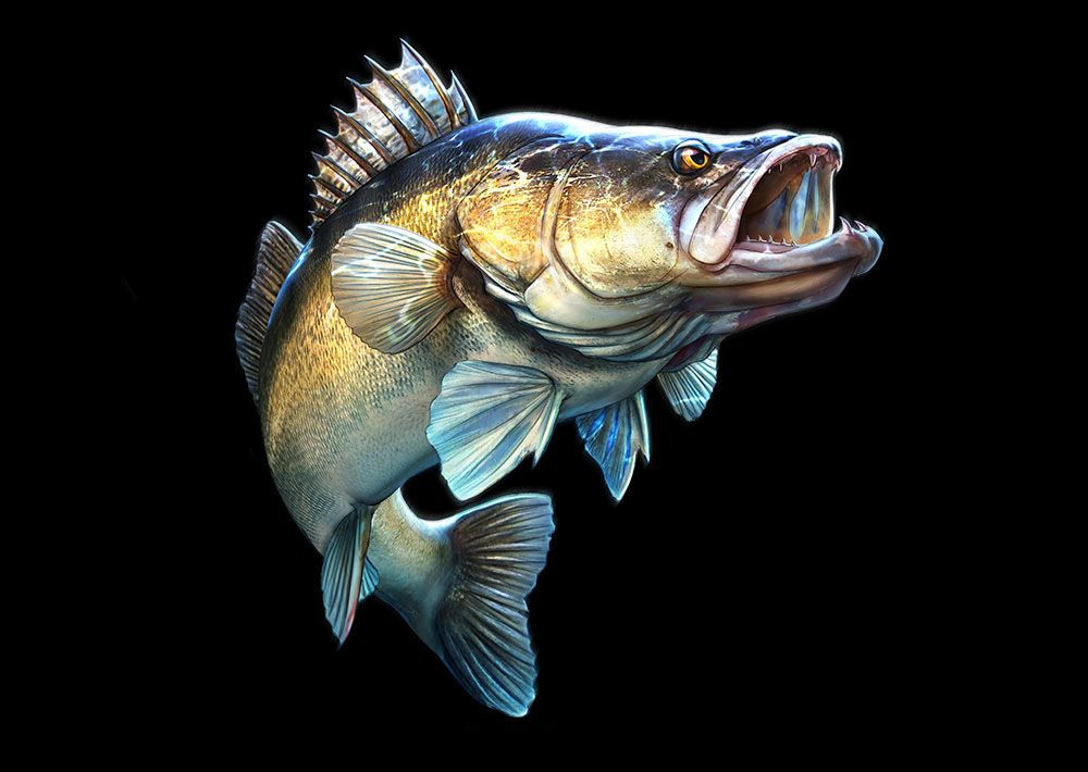 ������ �����