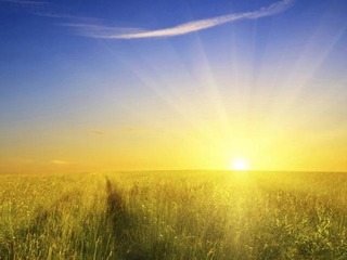 �������� ������ ����