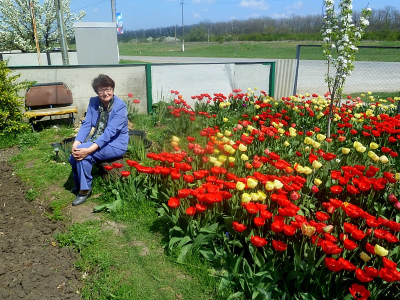 ���� ���������