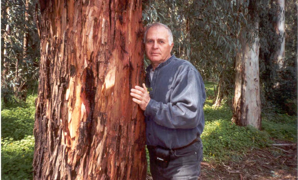 ������ ������� 3