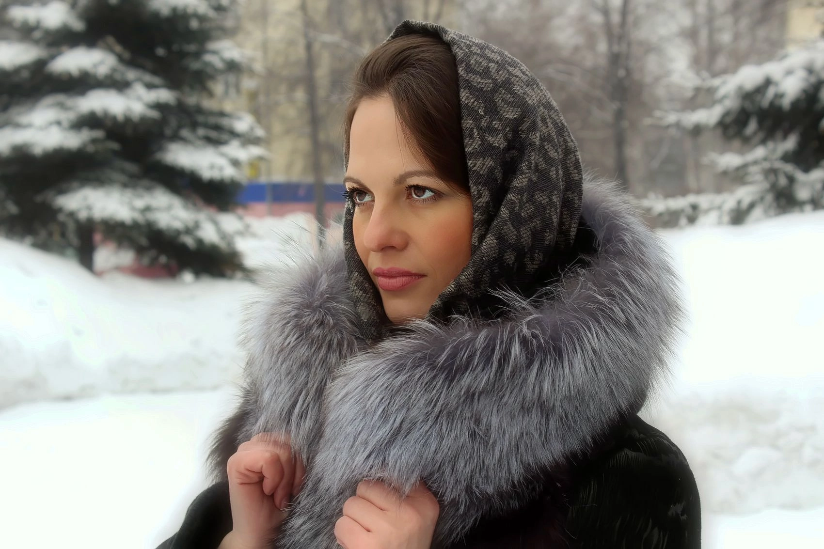 �������� �������� �����