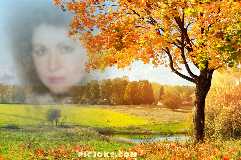 �������� ���������