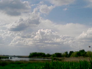 �������� ���������