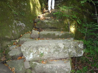 ������ �����