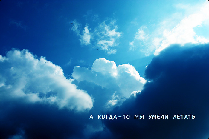 ������� ������ ���������