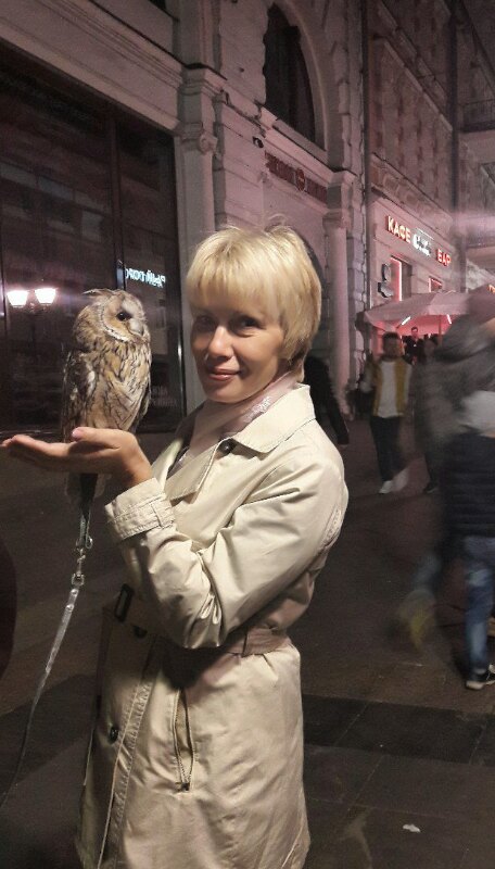 �������� ����������3