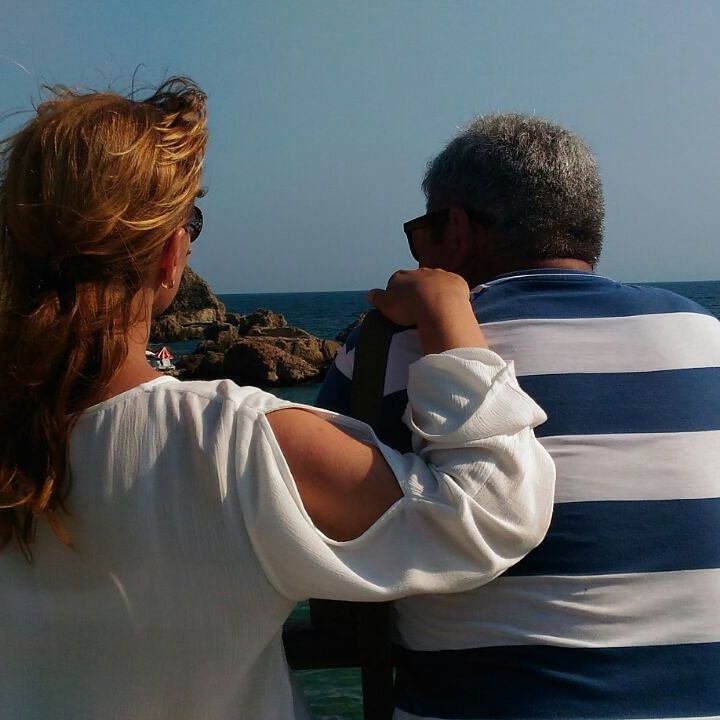 �������� ���������