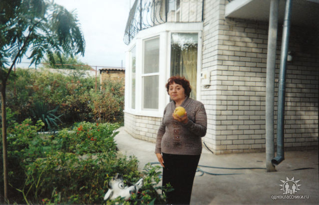 �������� ���������