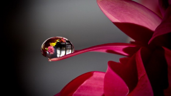 Одна Из Вас