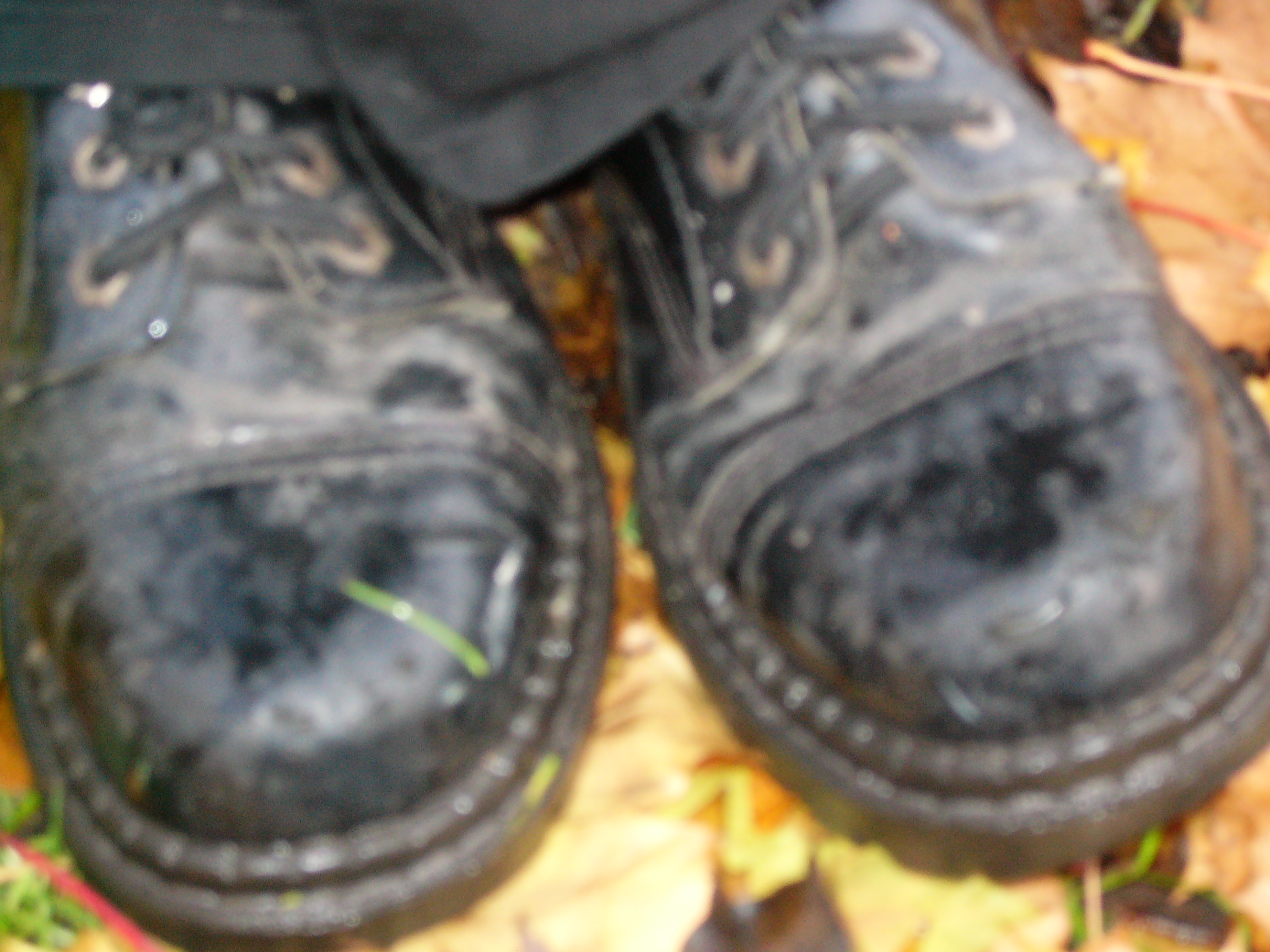 ��� � �����