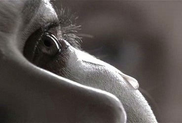 Елена Землякова