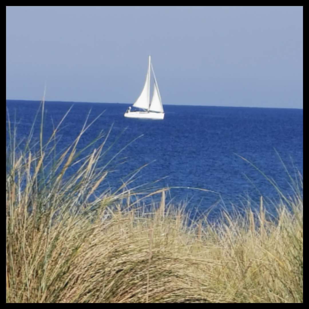 ��������� �������